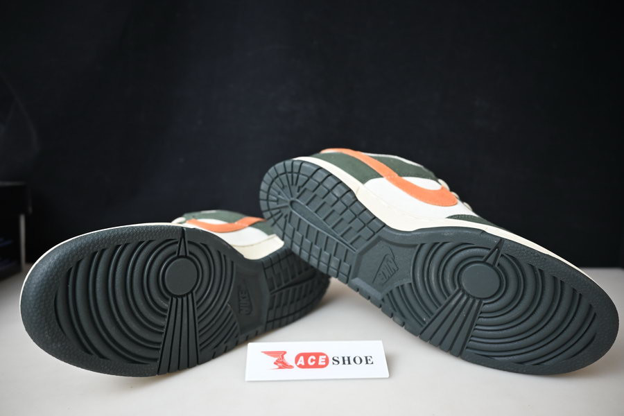 nike dunk sb low "eire" 304292-185